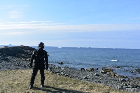 What up now, icebergs?