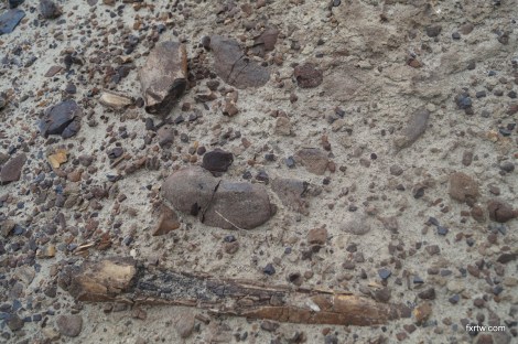 Bones picture taken by Nate