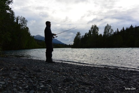 Did not catch any 40lbs salmon