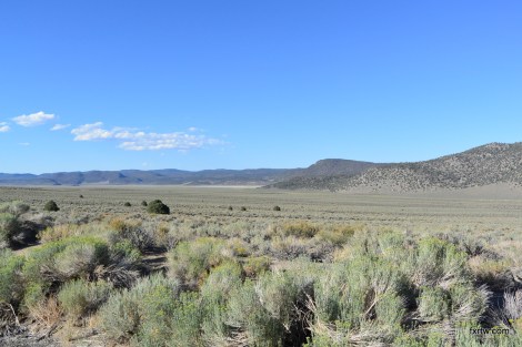 Welcome to the desert